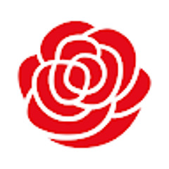 Aras M.O
