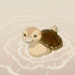 turtleduck