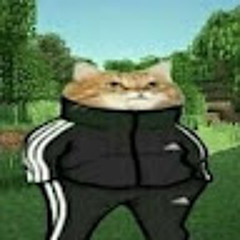 Nefta