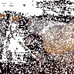 InsiightBlues