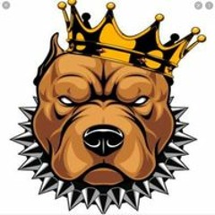 Ndn King