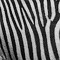 Zebra Zebryanskaya