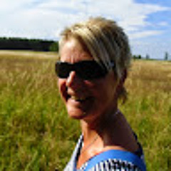 Onko pypitek