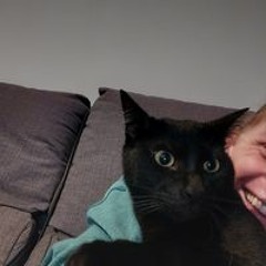putaintageule