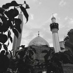 Sakina Abbas