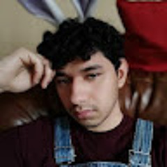 PEDRO LUIS MENDEZ GARCIA