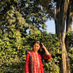 nayyab ahmed