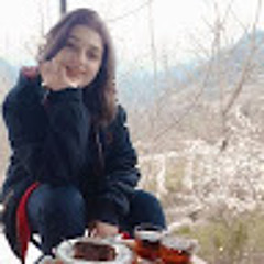 Bita Rastkerdar