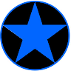 Blue Star Security