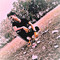PyaePhyo Lin
