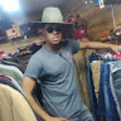 JayDingo