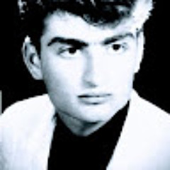 reza arami