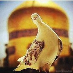 الوعي قائد
