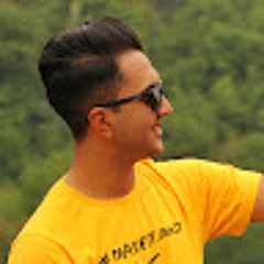 Mohammad amin Hamidi