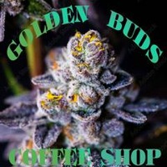 Golden Buds