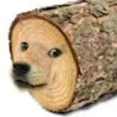 Drobek_Xd