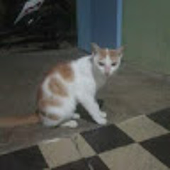 Mwiraham Dani