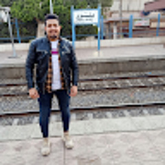 Ahmed Farghaly