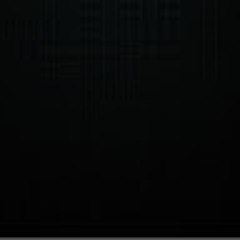 Sami Al Maleh APEL08c