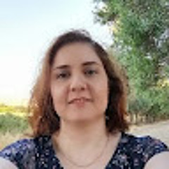 Hengameh Saatchi