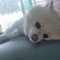 hsko_04