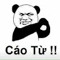 Chien Vi