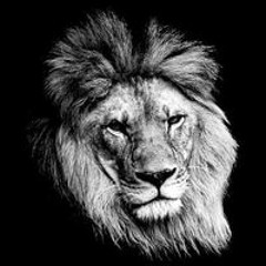 Francisco Javier Leira