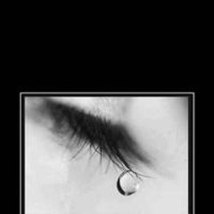 Joao Eduardo Germano Bazo