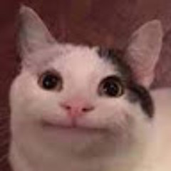 I don’t have a life