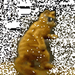 Benjamin Murray [Student]