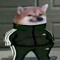 Rafau126