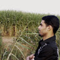 Samir Gohar