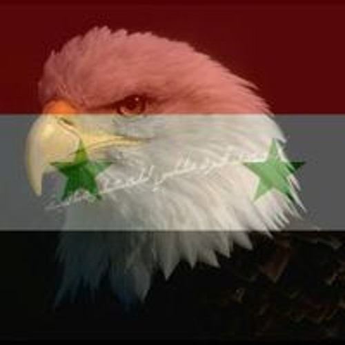 eagleahmad’s avatar