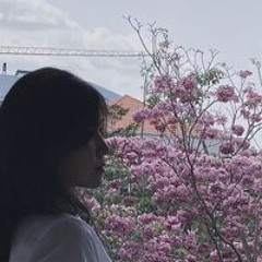 Trần Quỳnh
