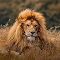 Dhananjay Sharma