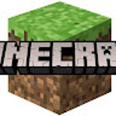 New Minecraftian boy