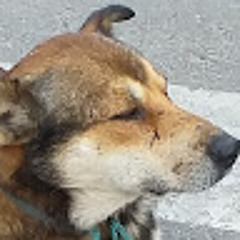 ВитекUA Труб