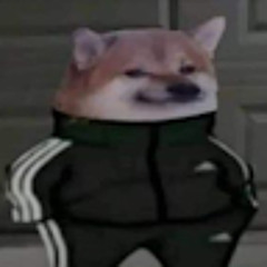 Bajceps