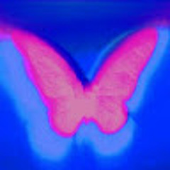 Aanisah Rifdah Nurrahmah