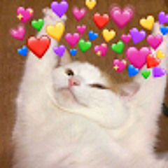 Trịnh Hoàng Giang [jelly]