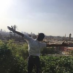 احمدتامر هيكل