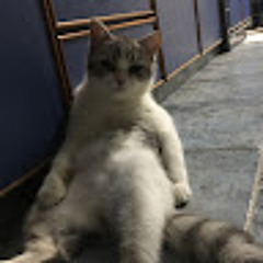 Dinie Johari