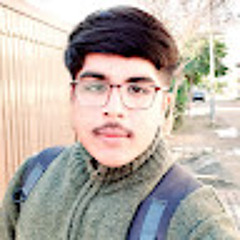 SYED ZAIN UL SHERAZI