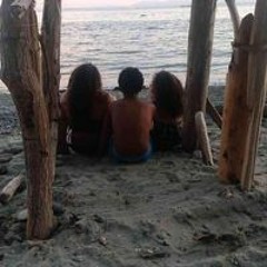 essy