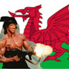 Welshwarrior 314