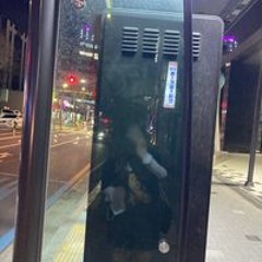 예솔