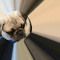 Pug Pro
