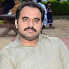 Ali Zulfiqar