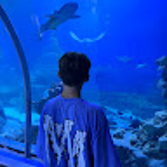 Денис Лыдин