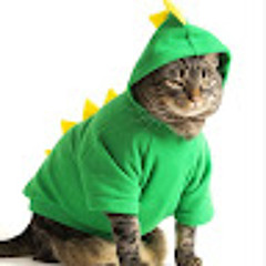 Gatossauro